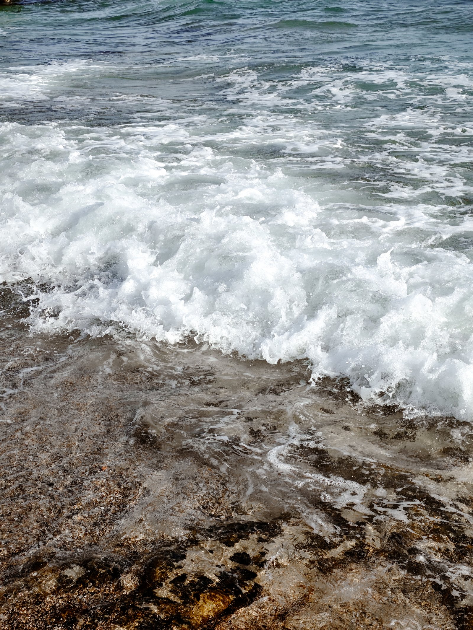 Sági-Kocsis Dorina portfolio