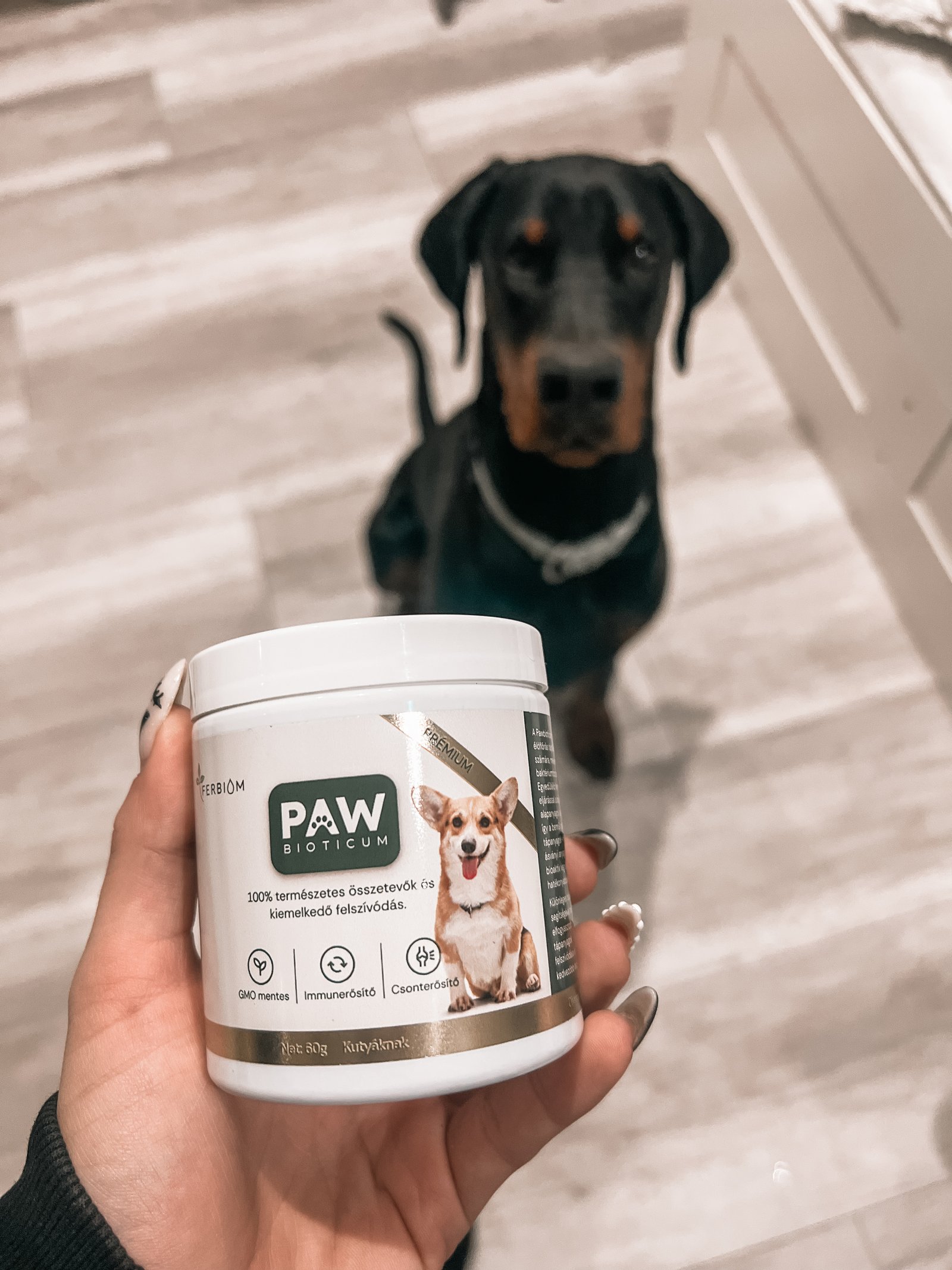 Kálmán Fanni portfolio