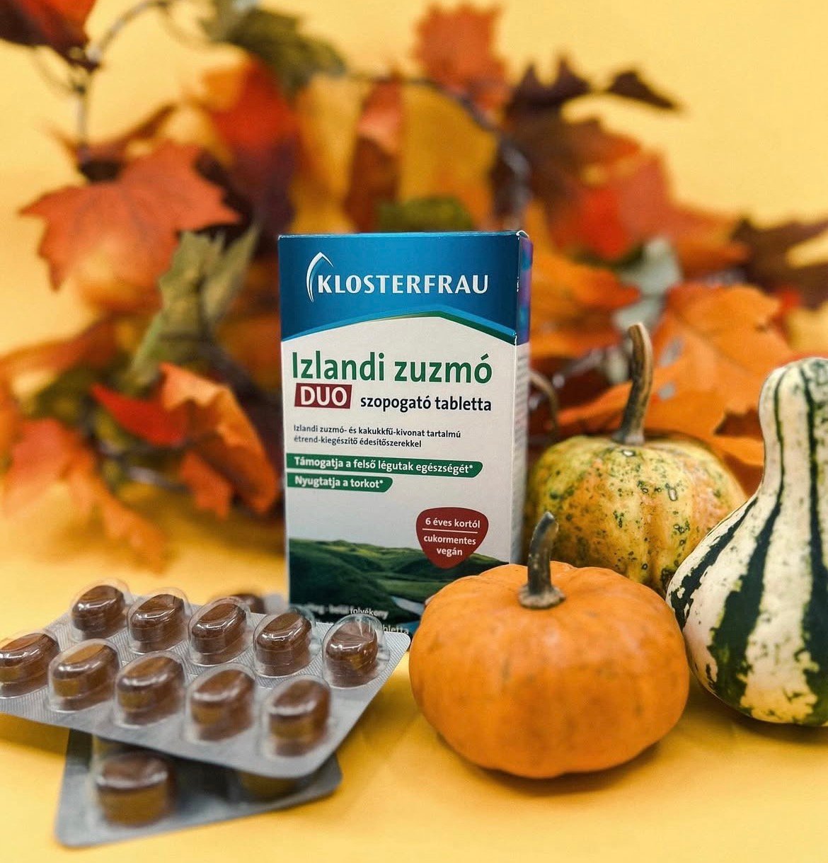 Komlósi Renáta portfolio