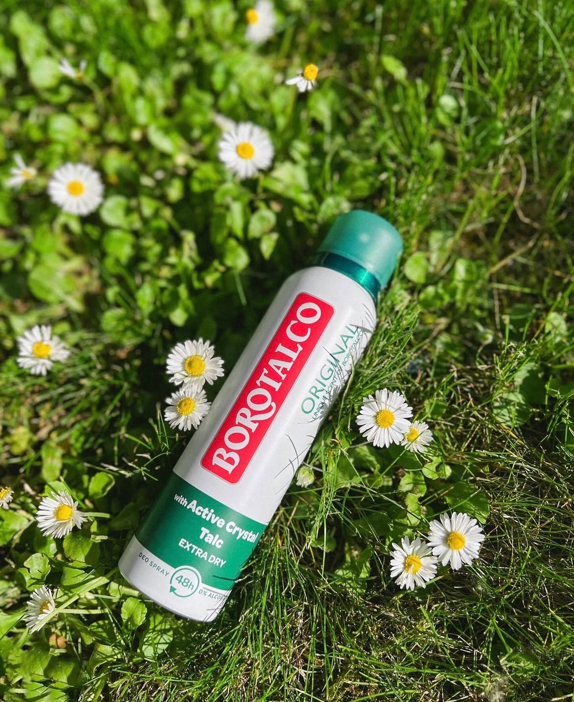 Komlósi Renáta portfolio