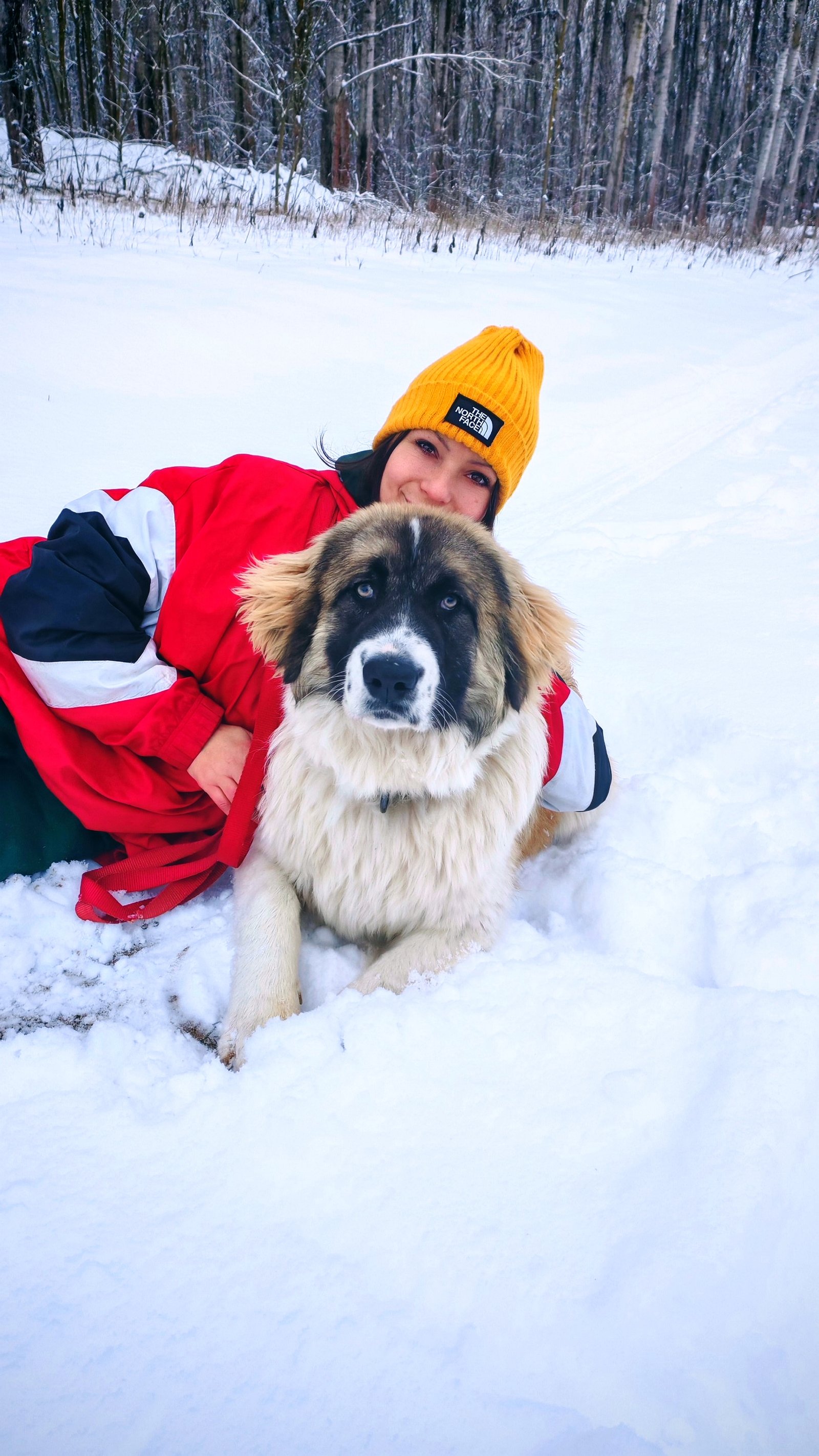 Böszörményi Melina portfolio