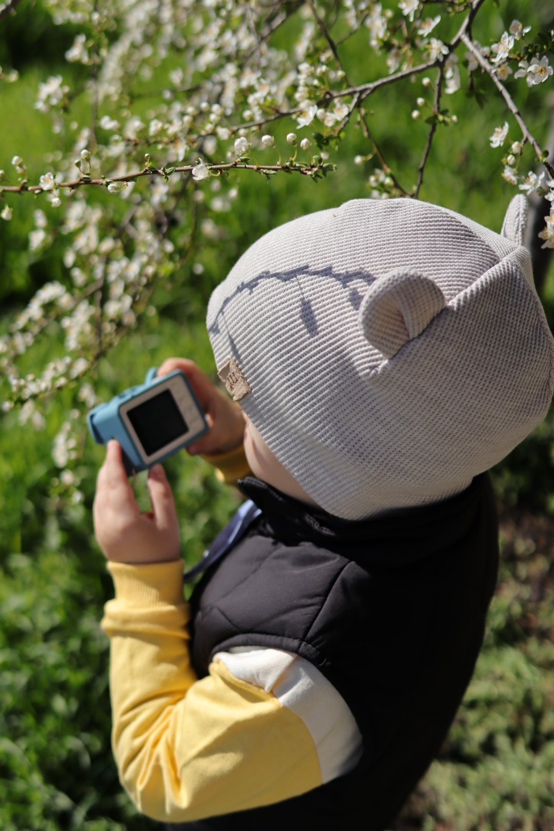 Király Evelin portfolio