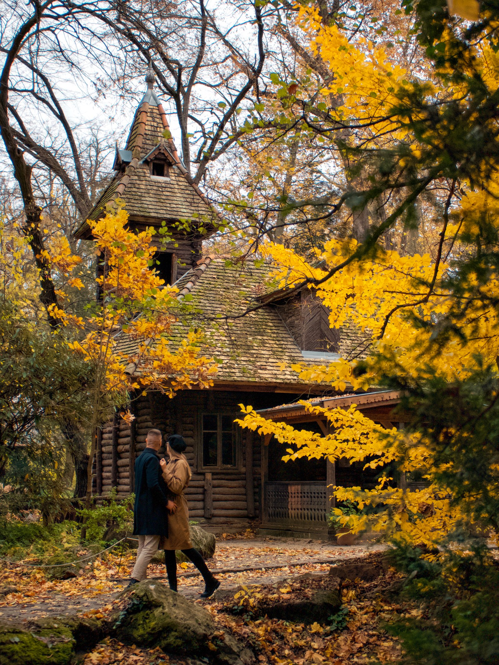 Kása Dorottya portfolio