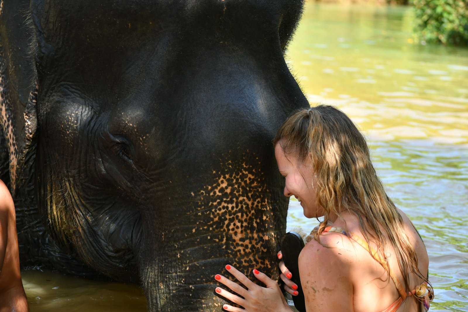 Dankuli Vivien portfolio