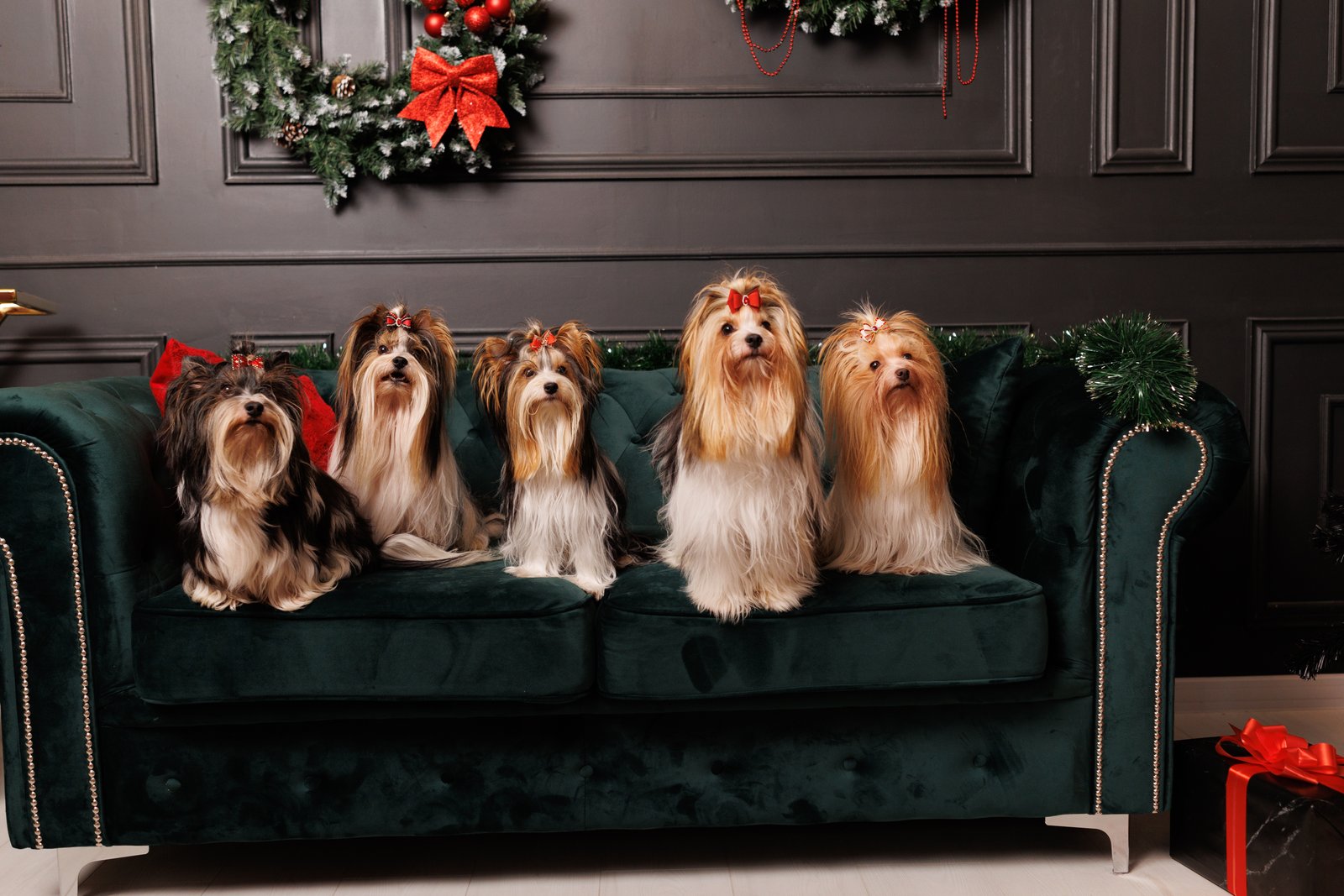 Sági Bernadett portfolio