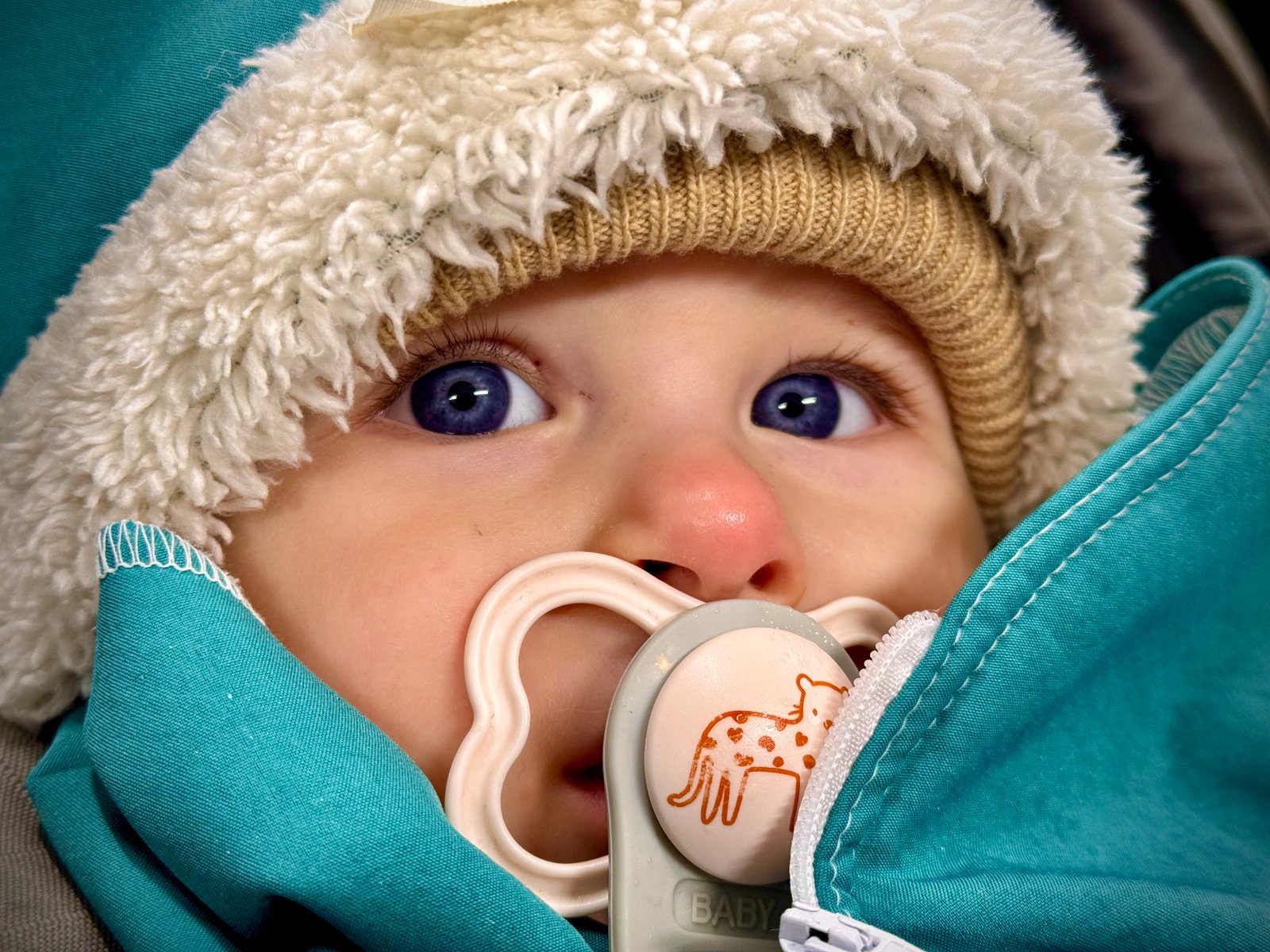 Biró-Tóth Zsanett portfolio