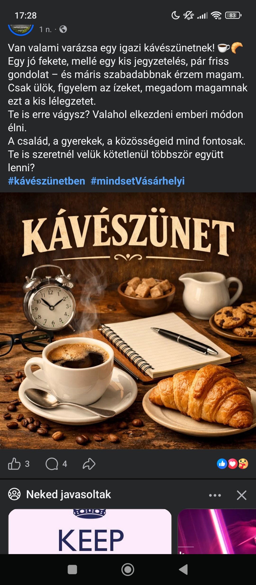 Román Anikó portfolio