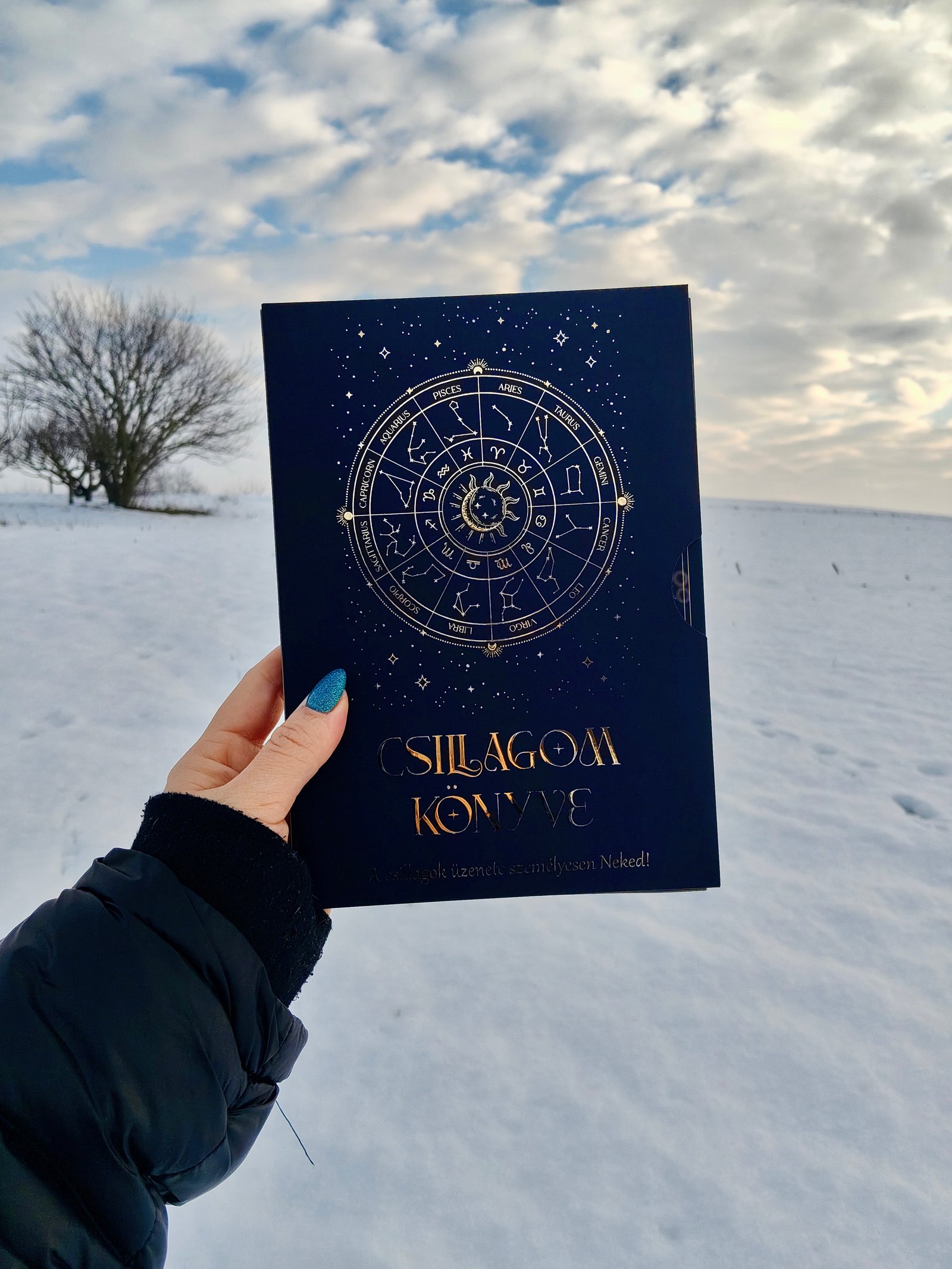 Gali-Bayerle Laura portfolio