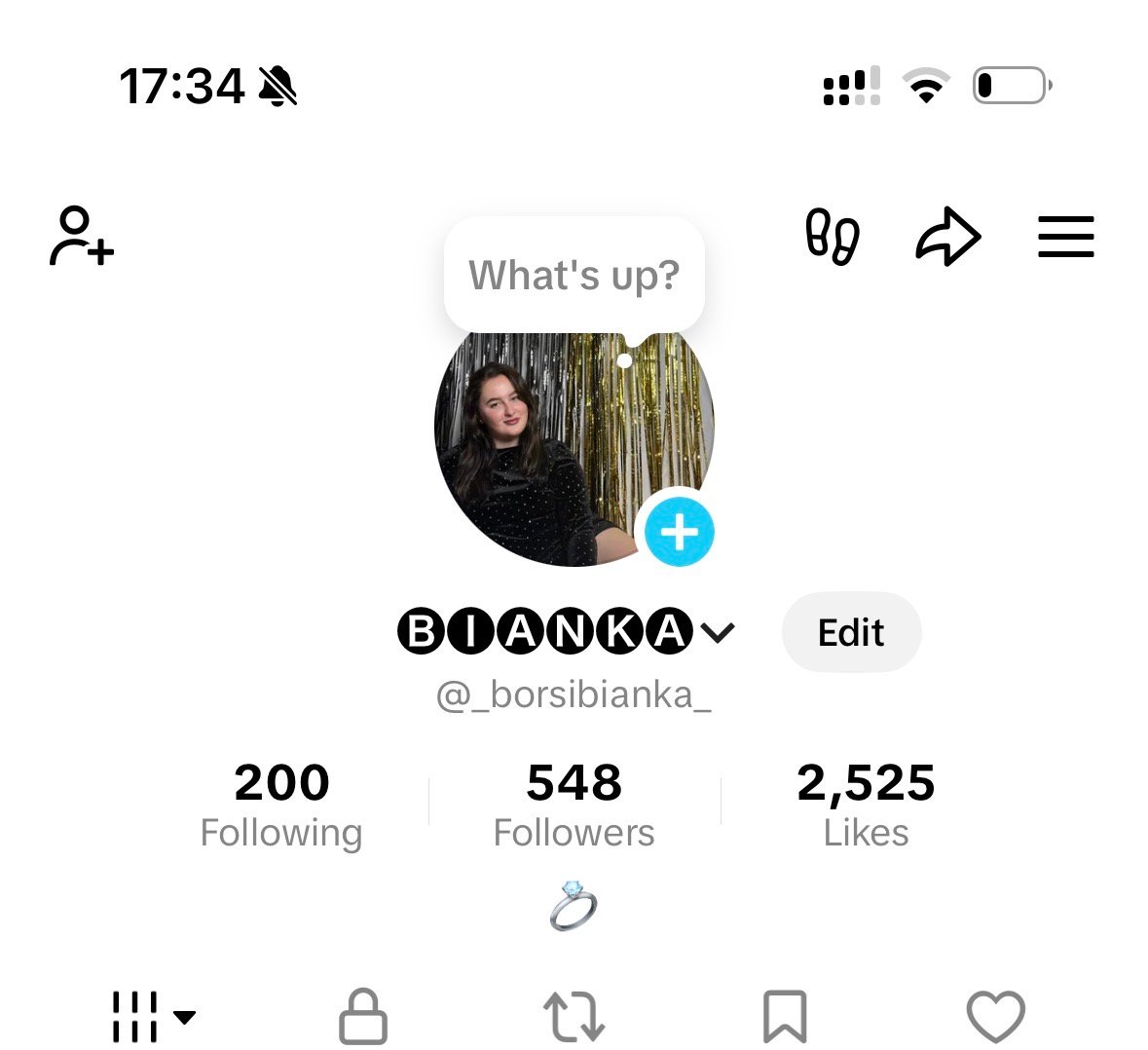 Bianka Borsi portfolio