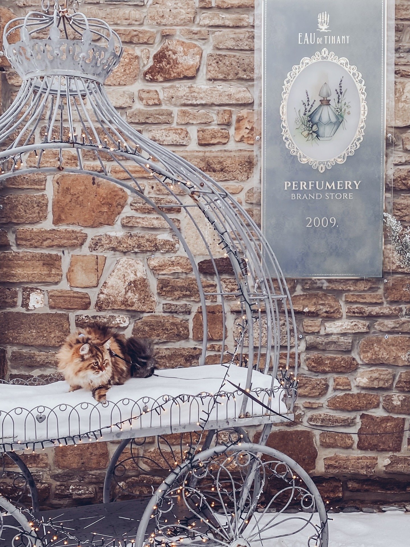 +36303404534 portfolio