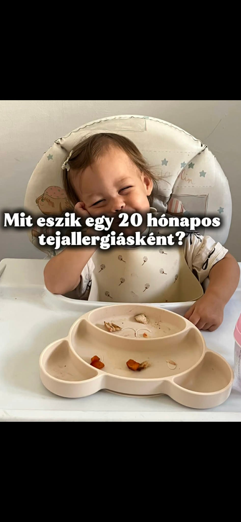 Tamásyné Farkas Bernadett portfolio