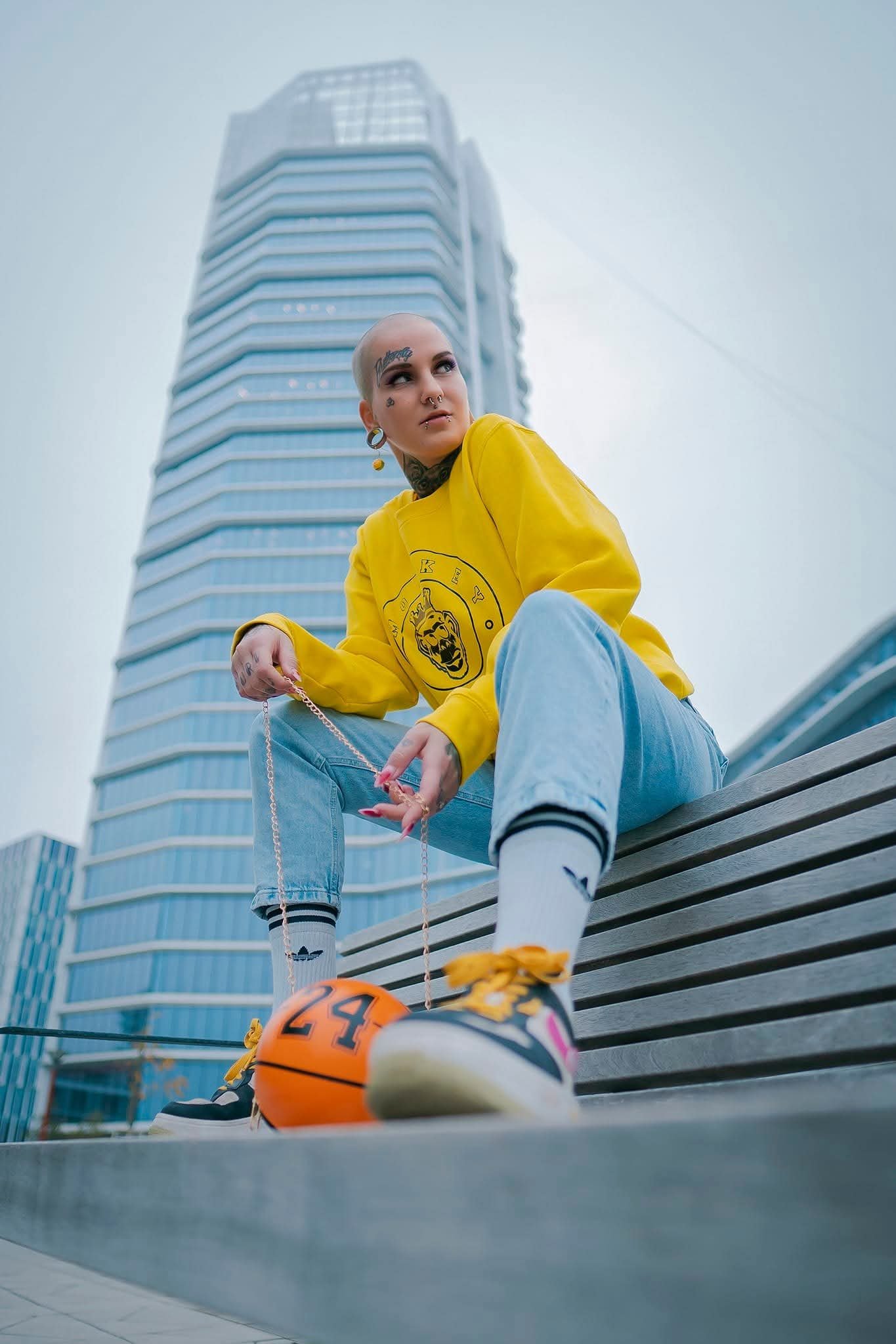 Erdős Viola portfolio