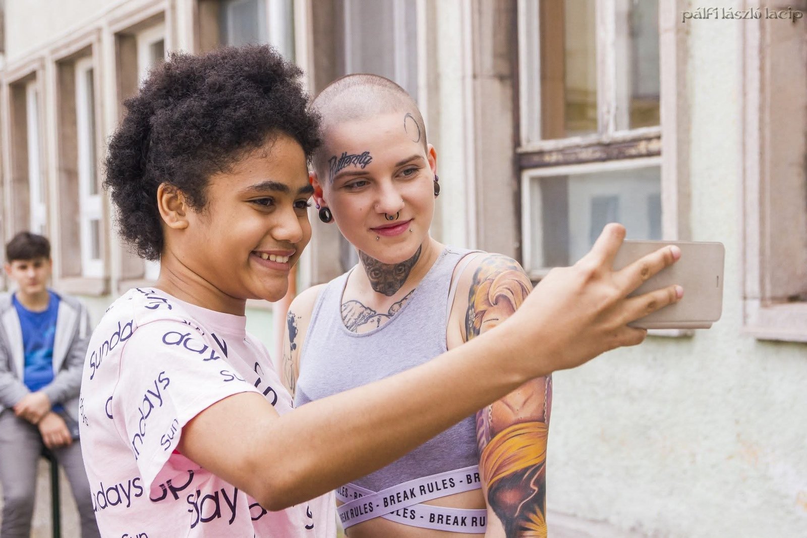 Erdős Viola portfolio