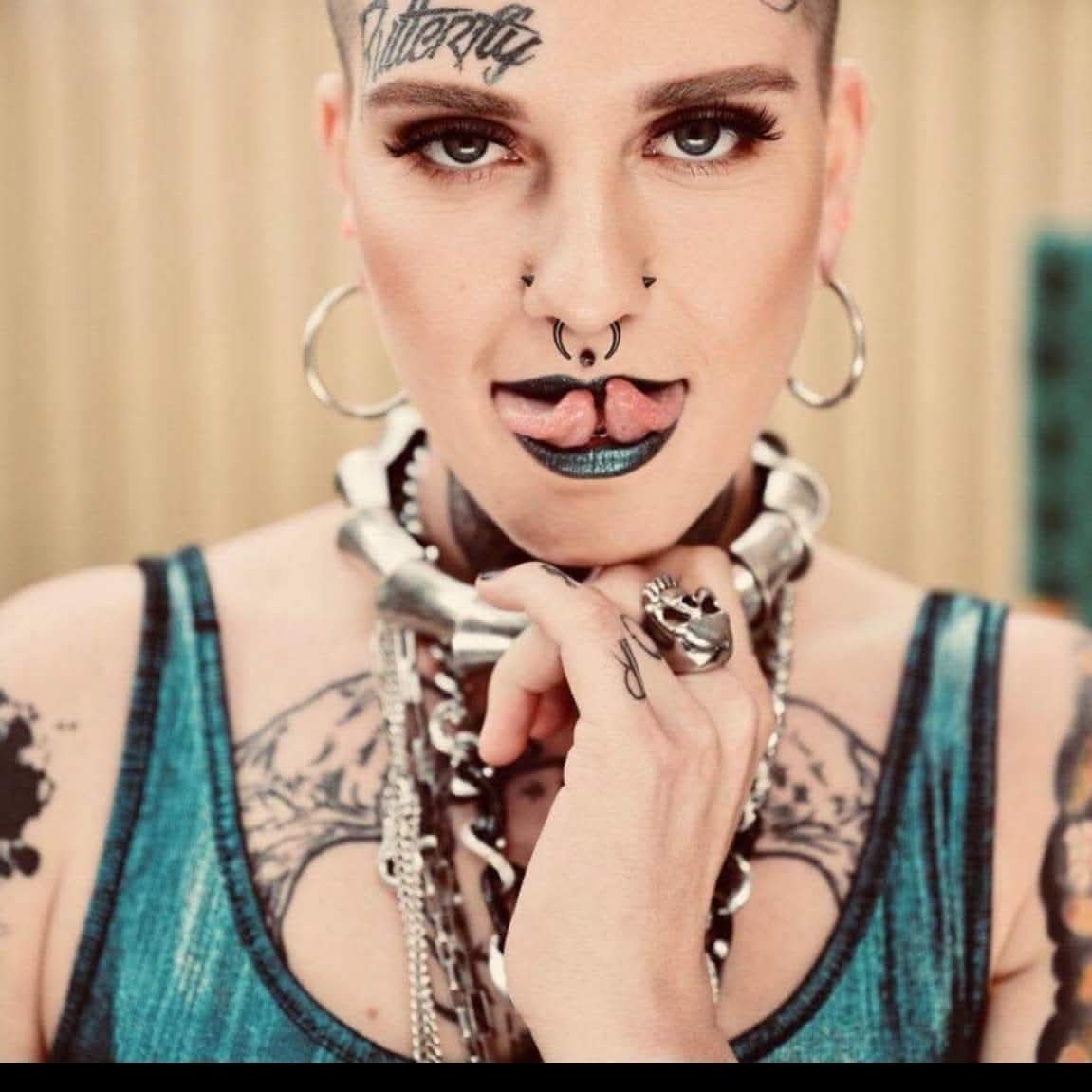 Erdős Viola portfolio