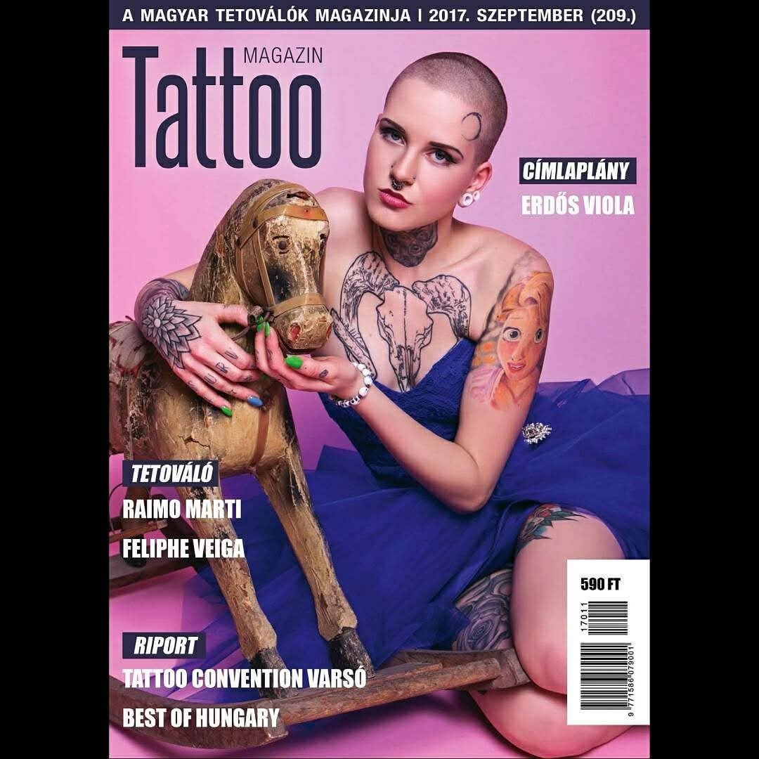 Erdős Viola portfolio