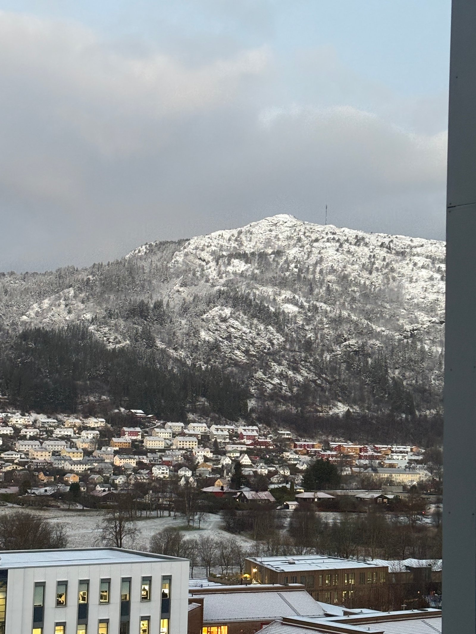 Beke Enikő portfolio