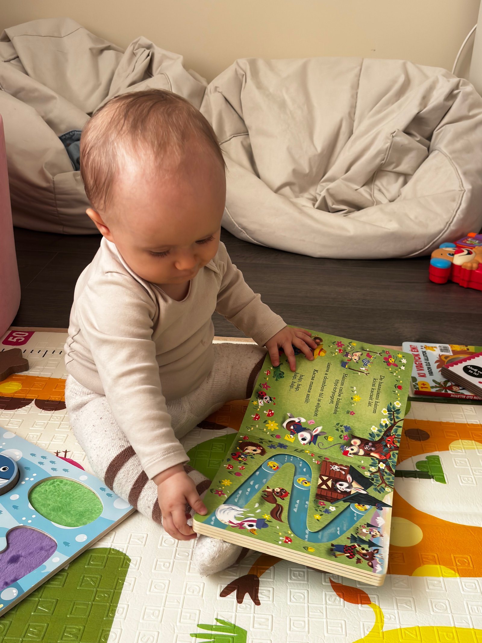 Farádi-Szabóné Kocsis Nikolett Mária portfolio