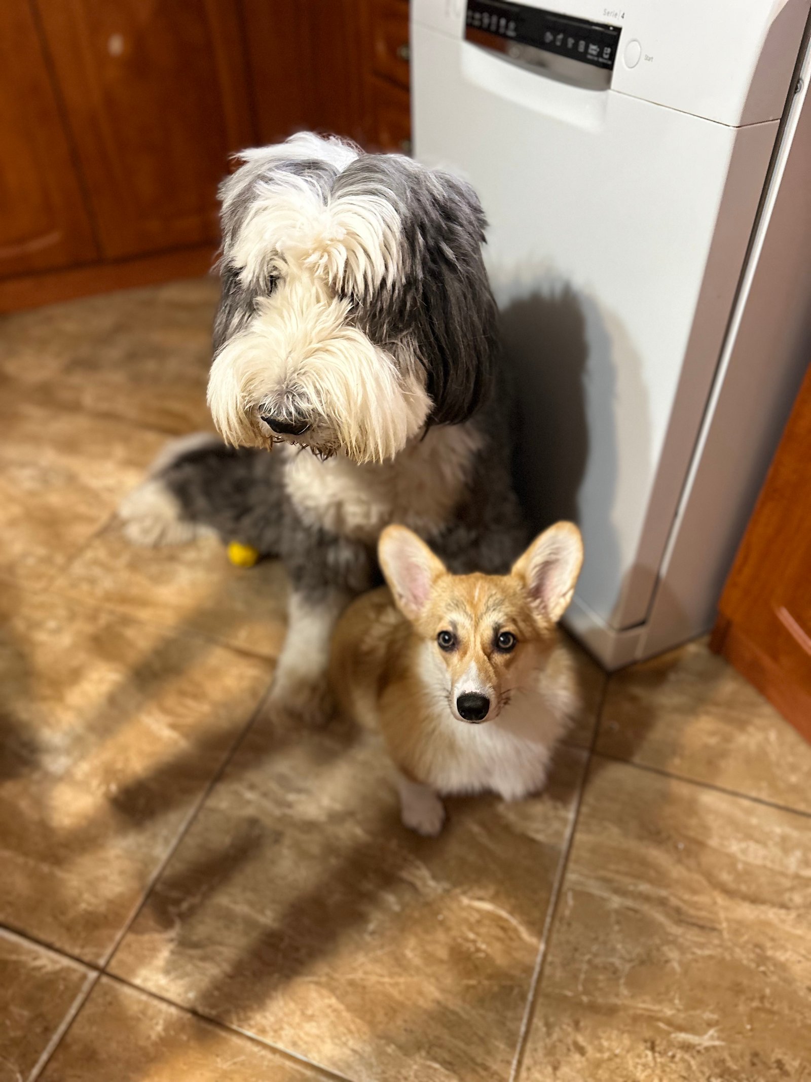 Csató Enikő portfolio