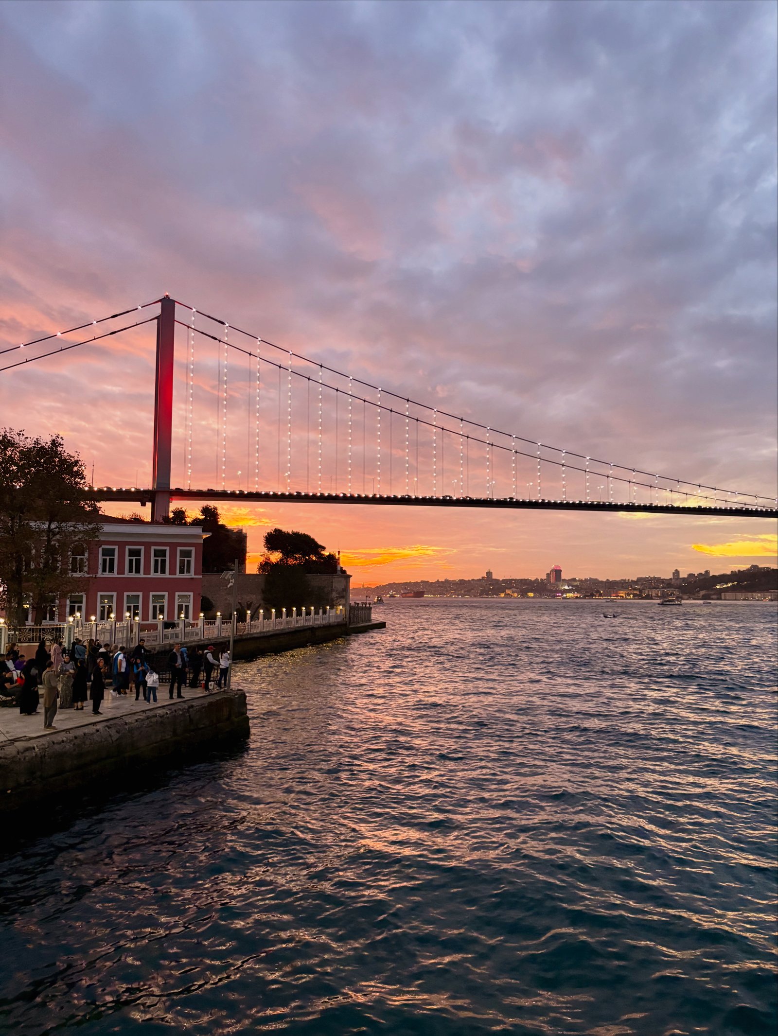 Szabadi Sára portfolio