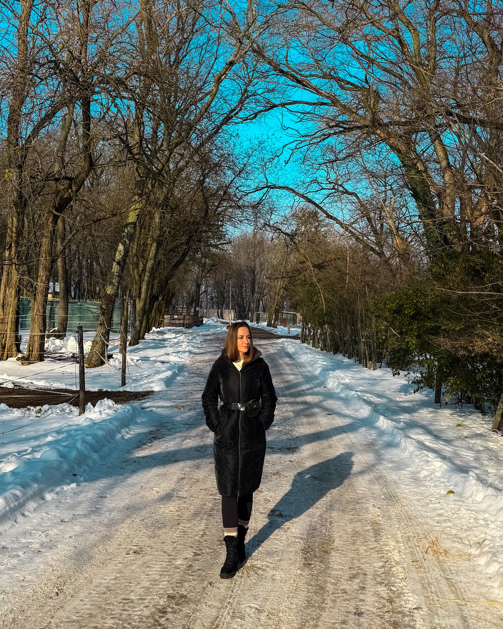 Szécs Viktória portfolio