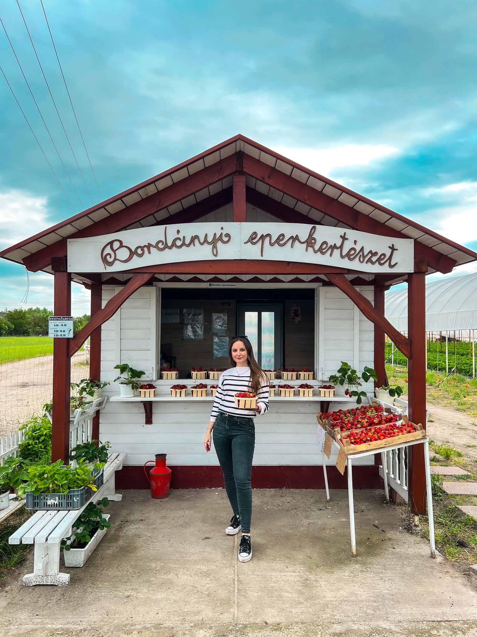 Szécs Viktória portfolio