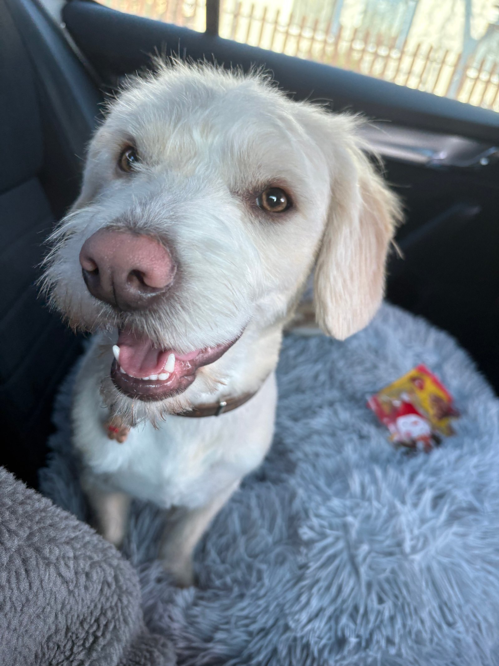 Mezei Virág portfolio