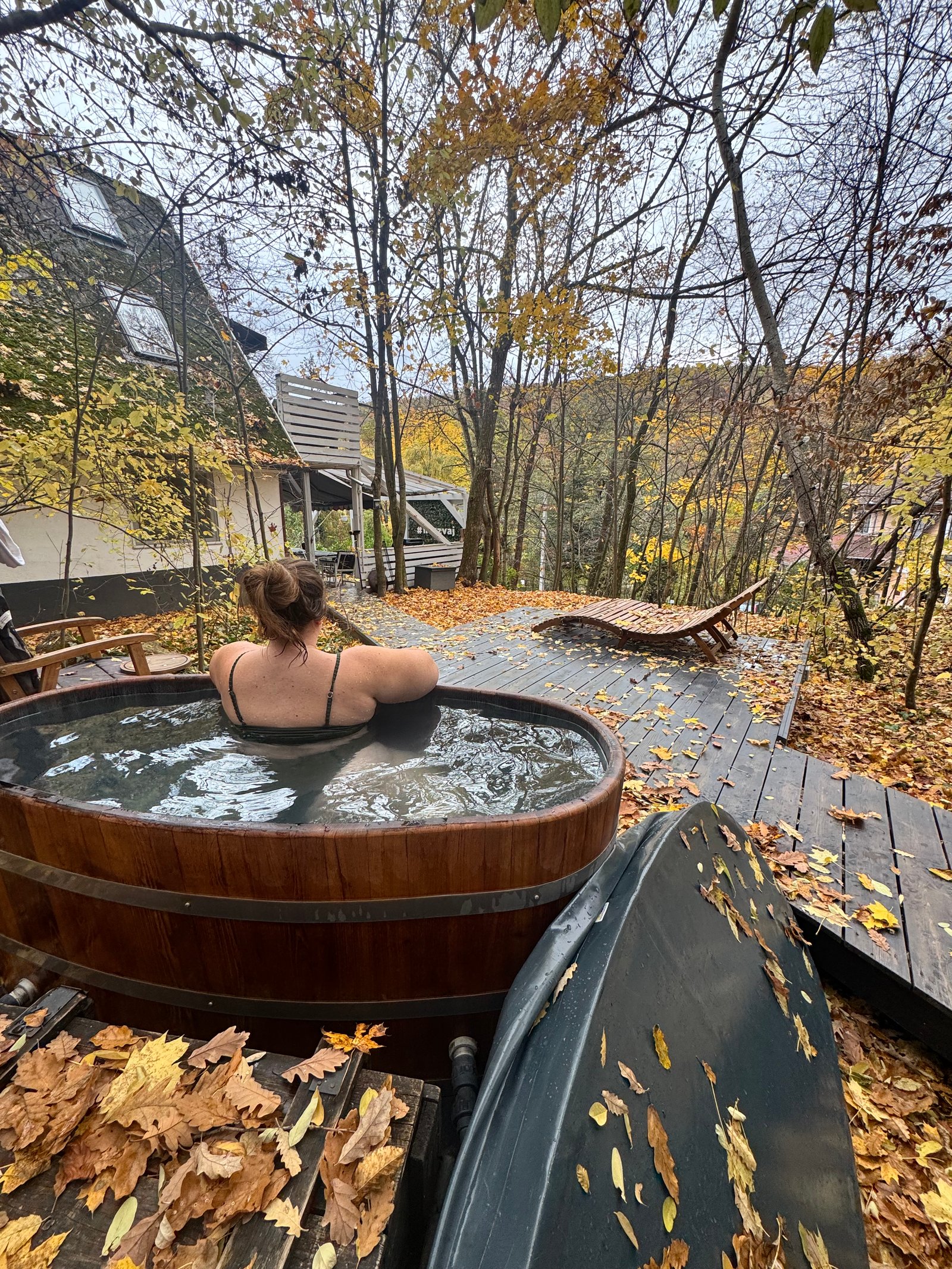 Geszti Virginia portfolio