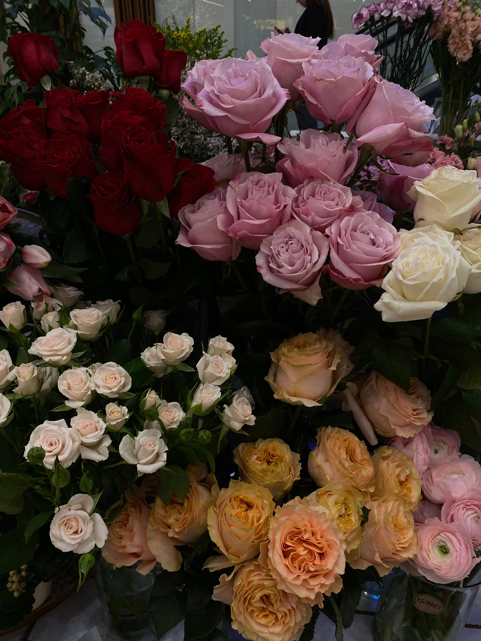 Mezei Kinga Hanna portfolio