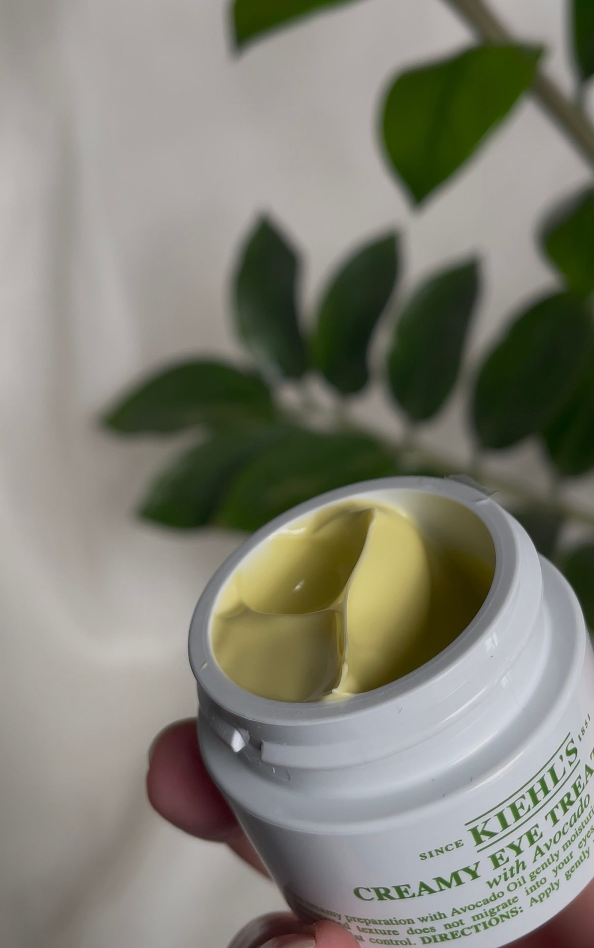 Németh Rebeka portfolio