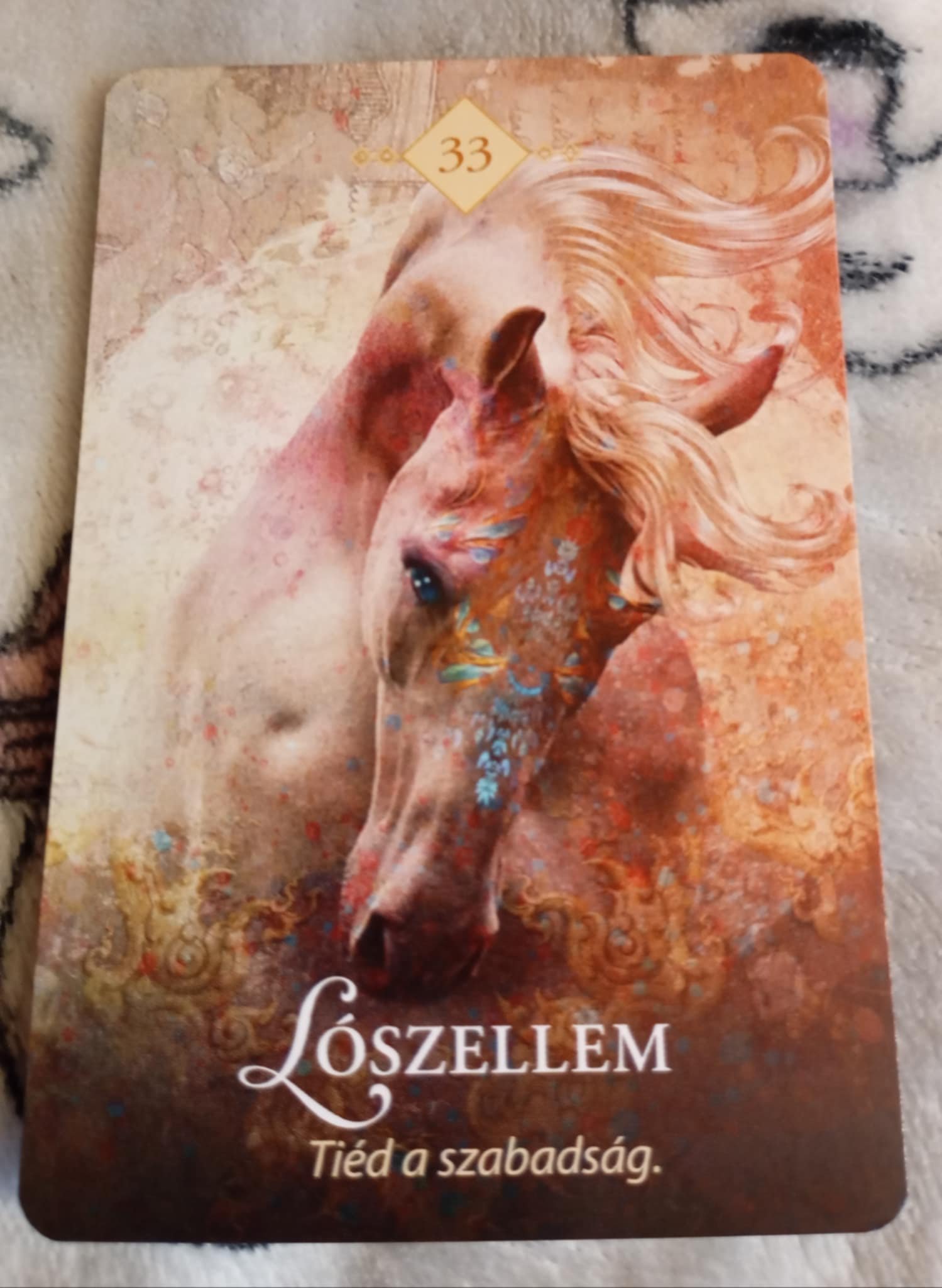 Németh Anna portfolio