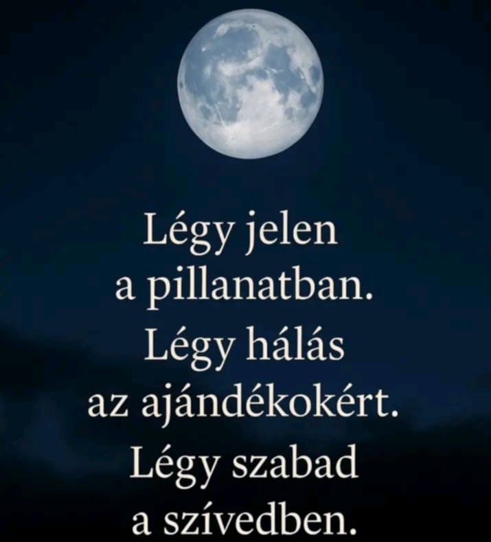 Németh Anna portfolio