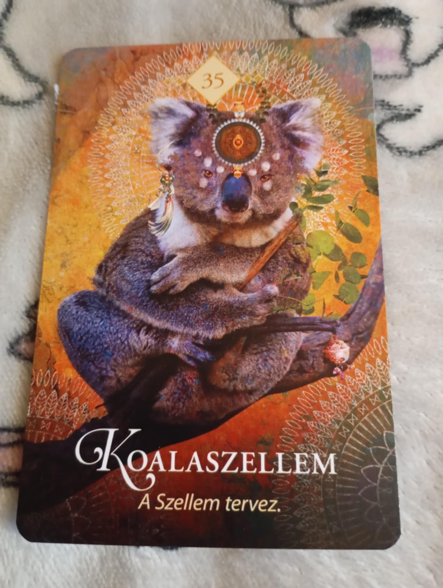 Németh Anna portfolio