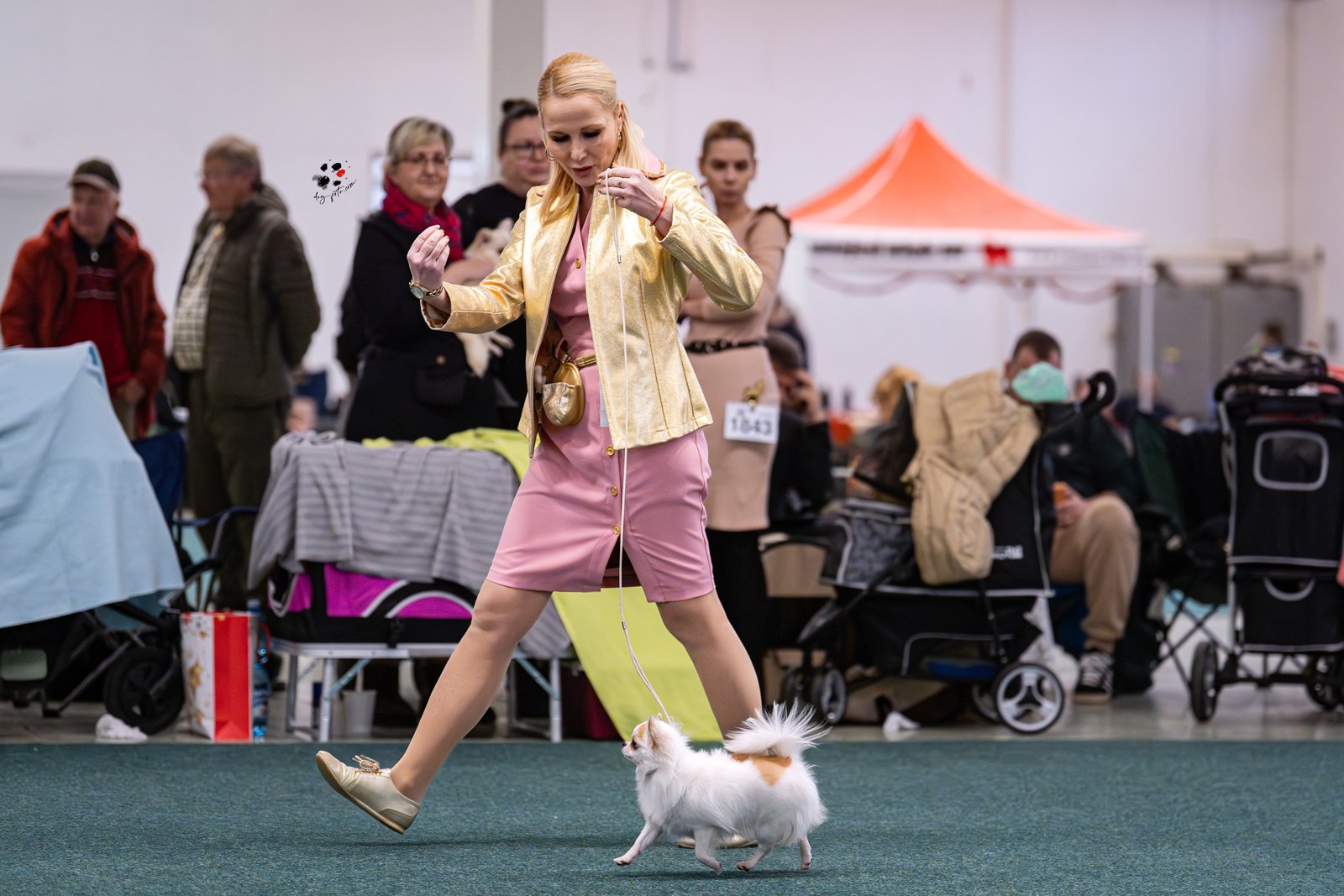 Miló Viktória portfolio