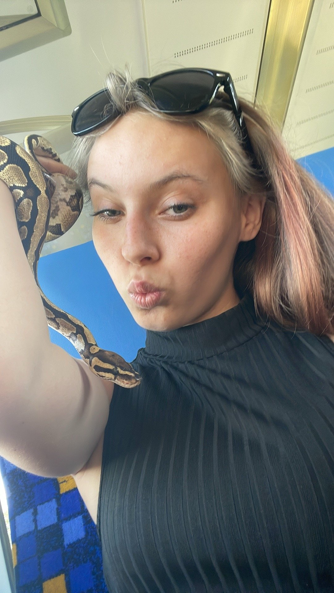 Dénes edina Gabriella portfolio