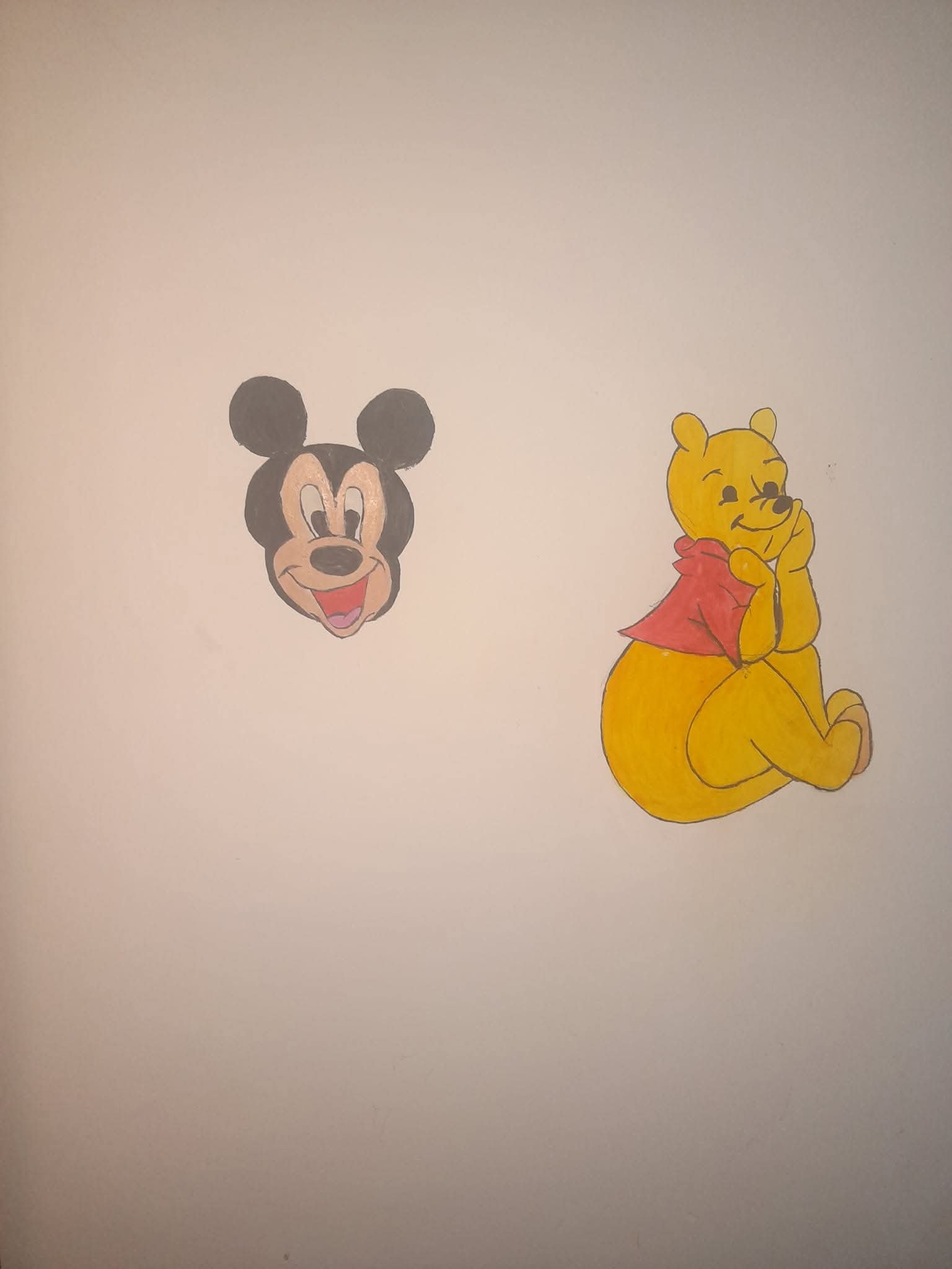 Timea zsuzsa Ambrus portfolio