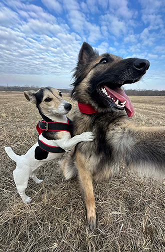 Berki Szilvi | Nudli & Roxi portfolio