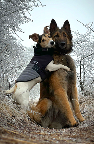 Berki Szilvi | Nudli & Roxi portfolio