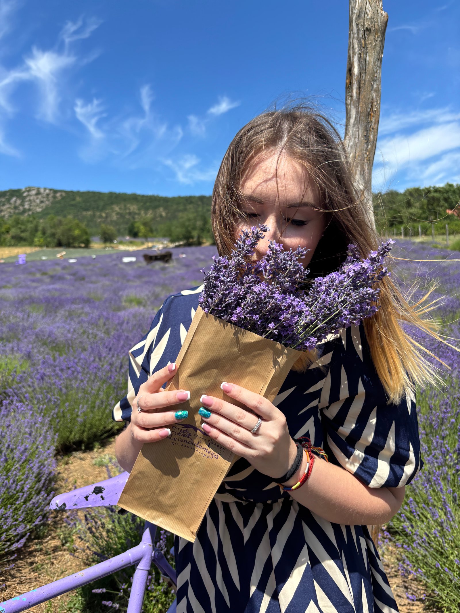 Tóth - Szellelki Noémi portfolio