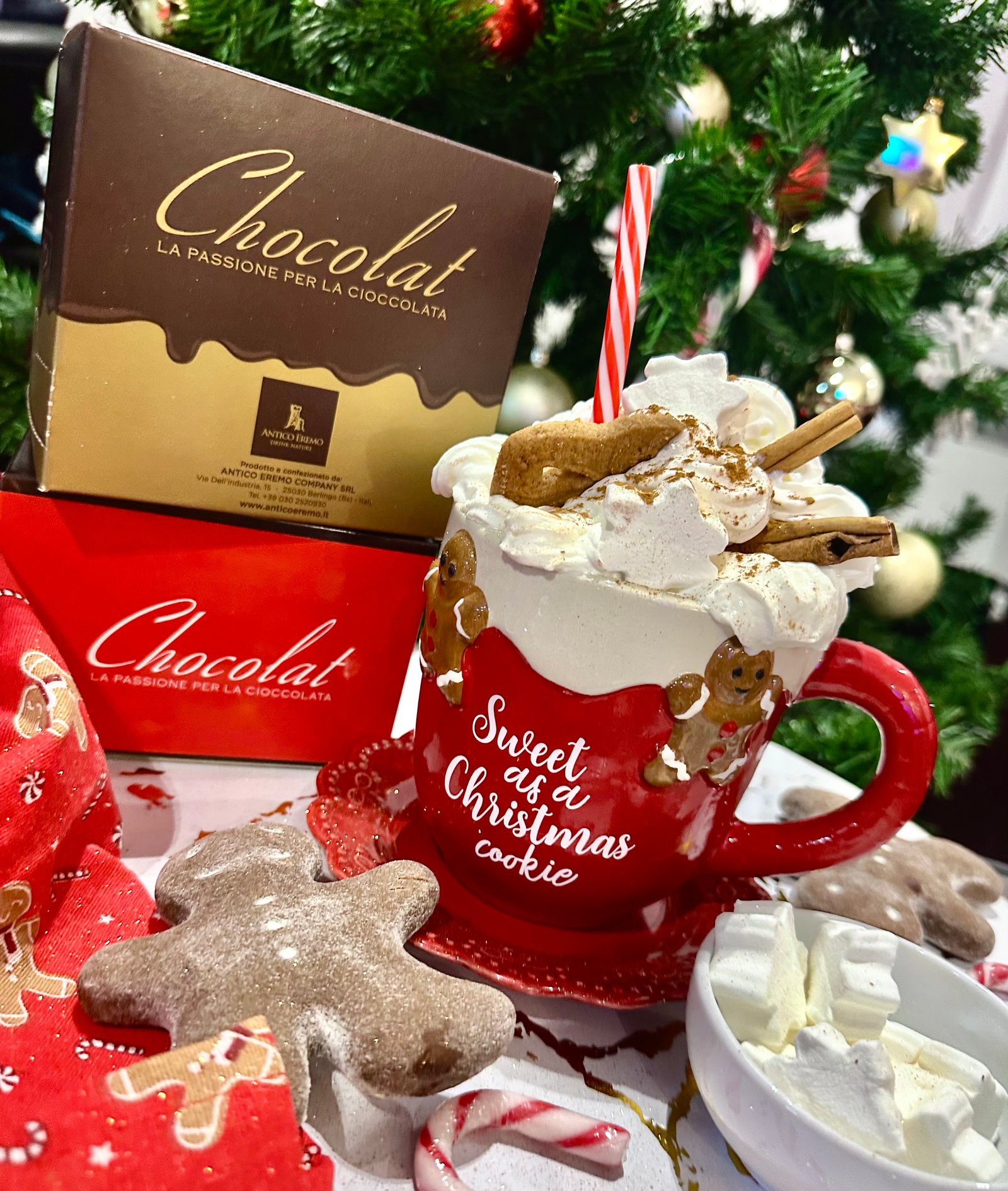 Horváth Petra portfolio