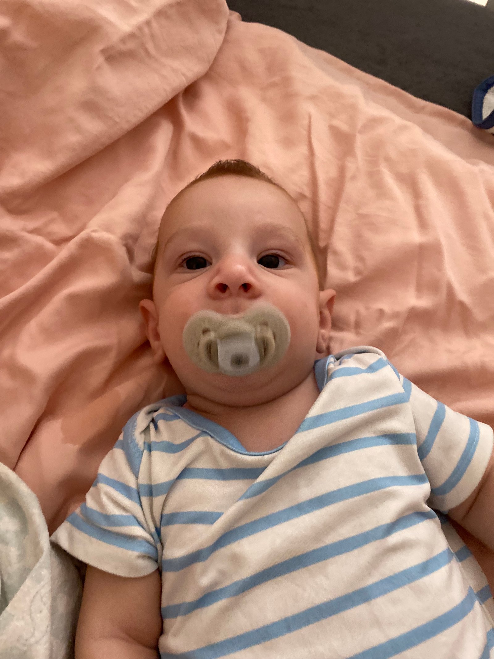 Egyed Lenke portfolio