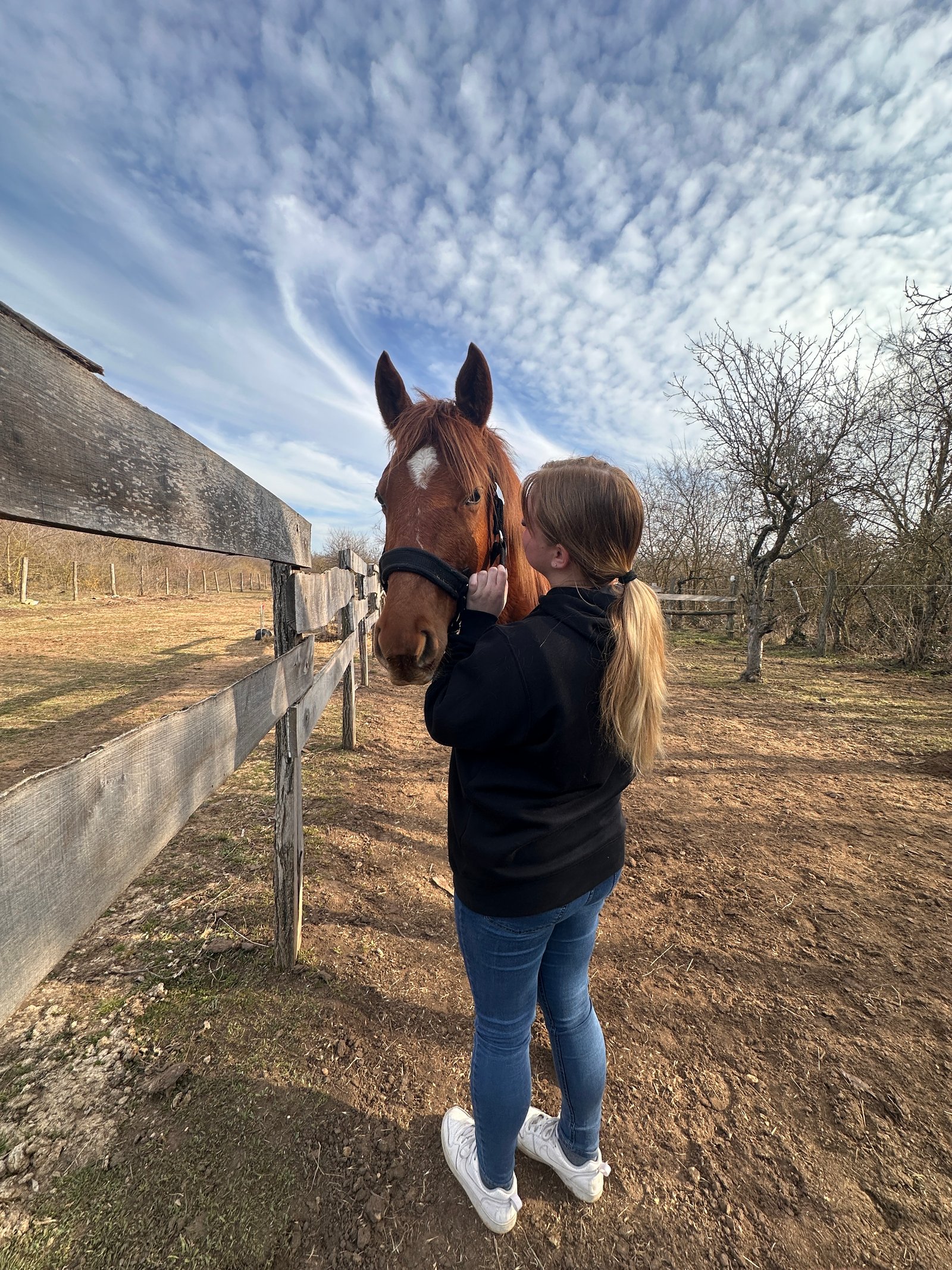 Hubert Beatrix portfolio