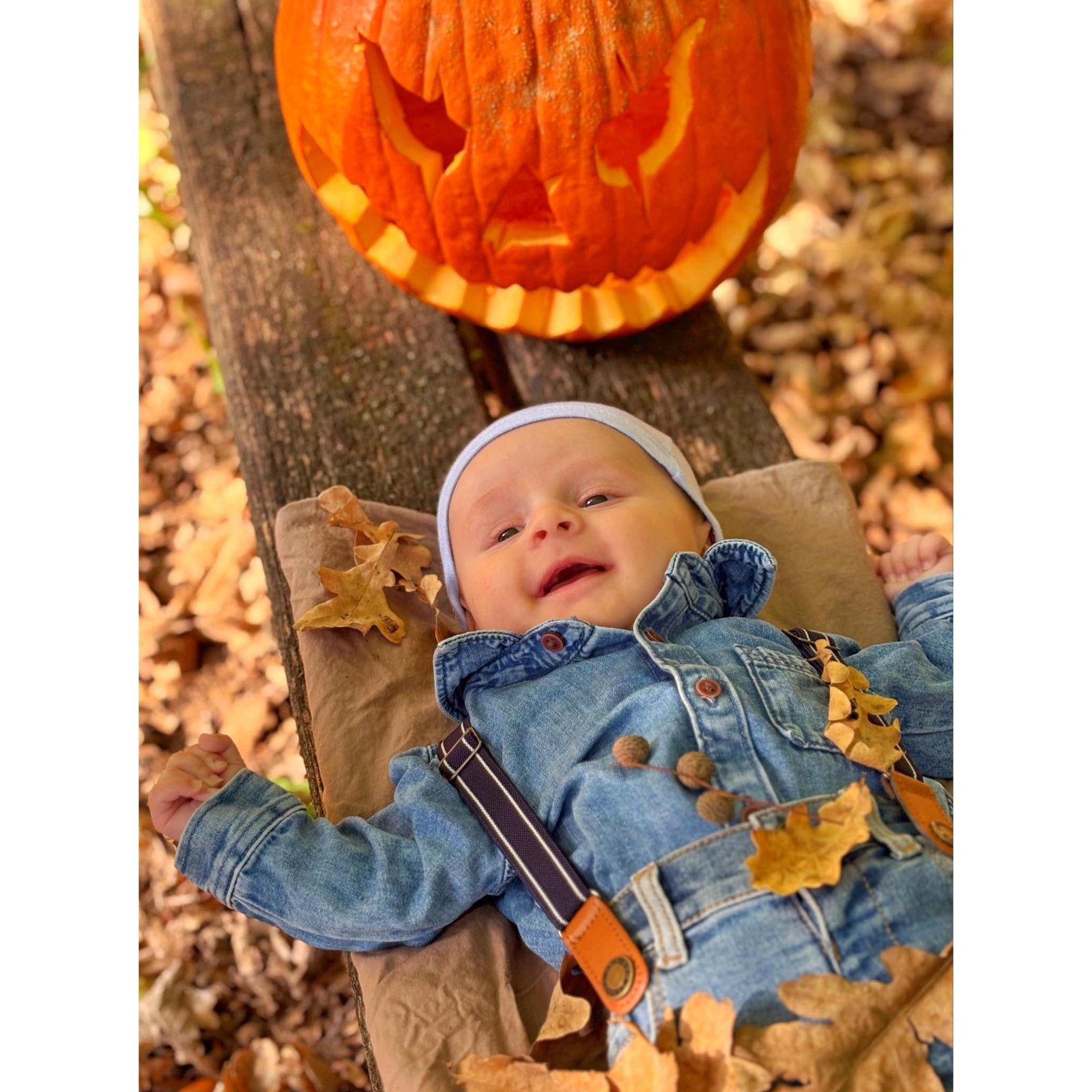 Faragó Éva portfolio