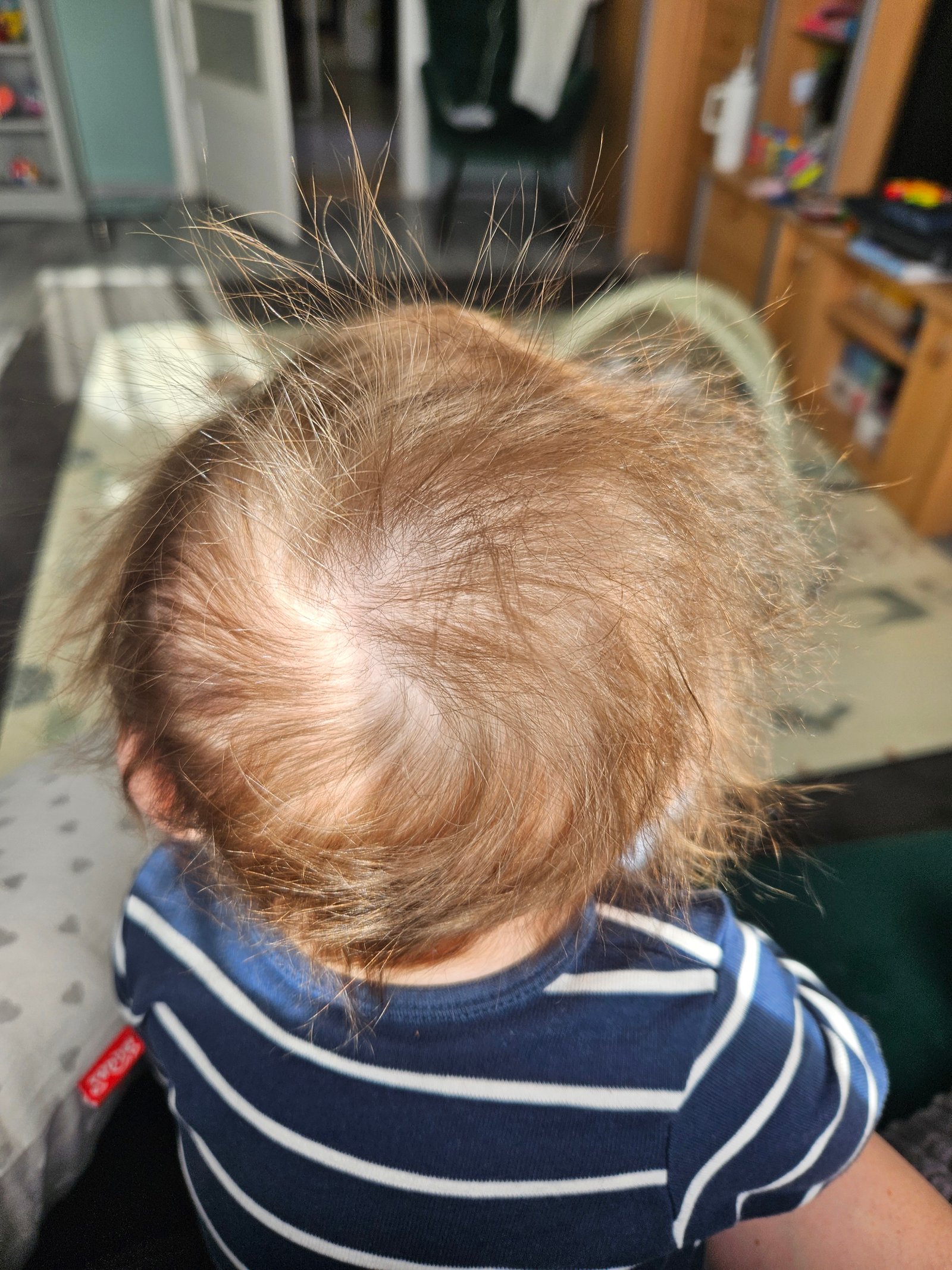 Lőrinczy-Sáfrány Lívia portfolio