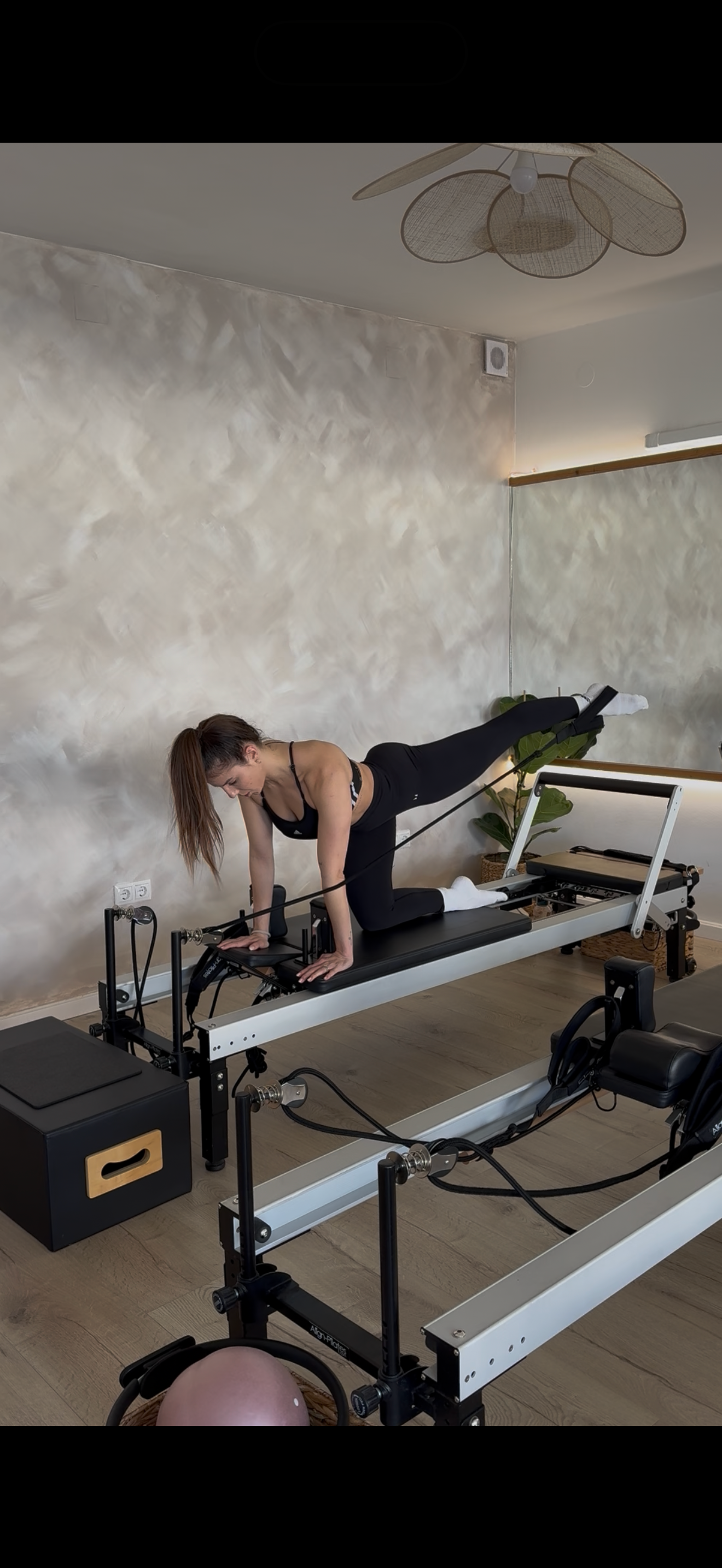 Páhn Adél portfolio