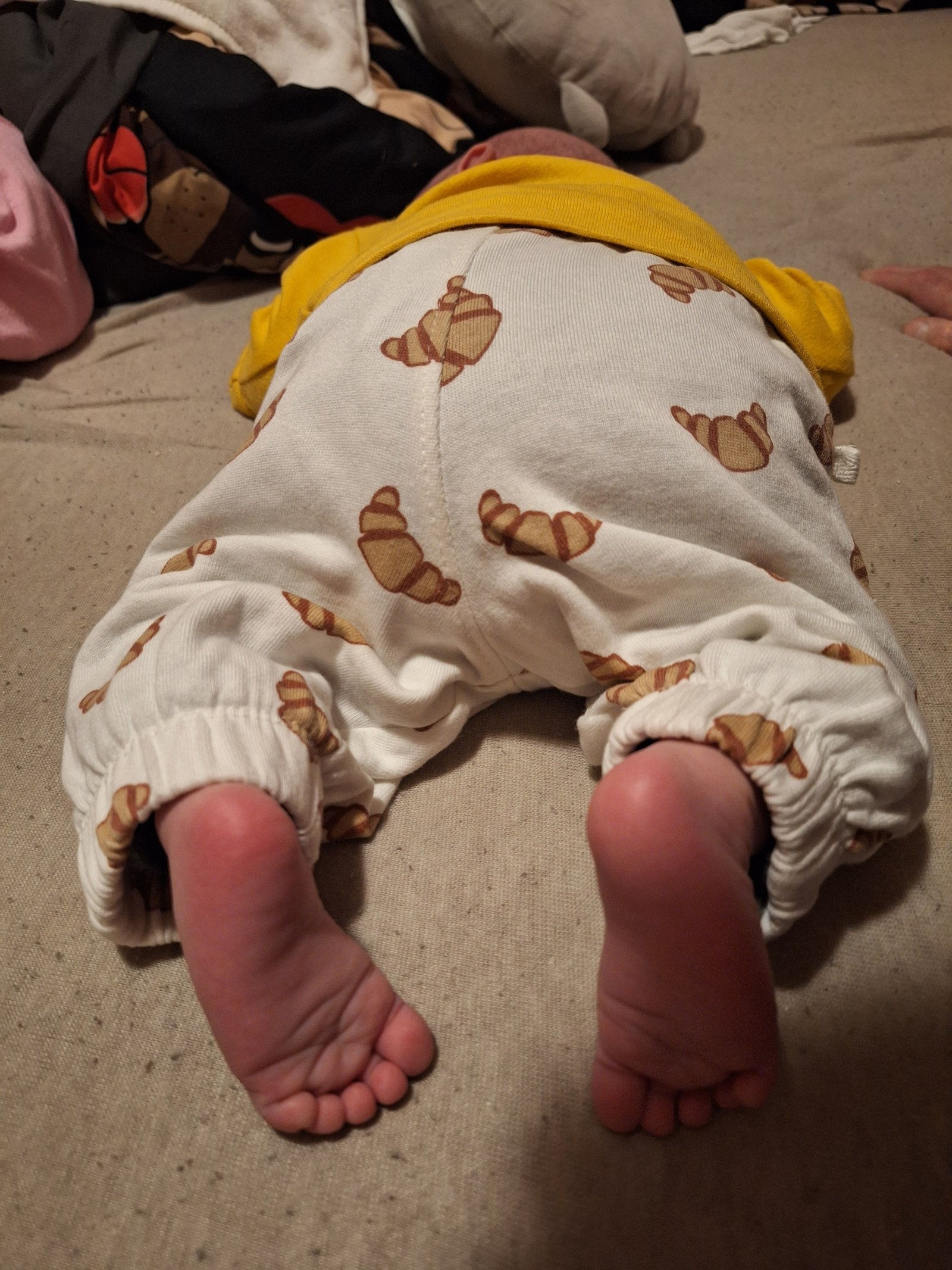 Hajba - Heincz Dominika portfolio