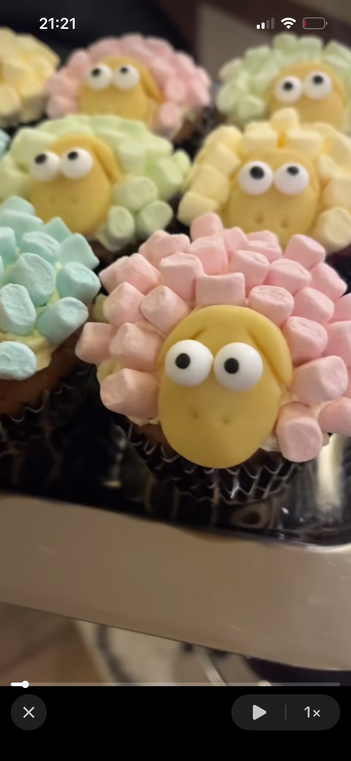 Földi-Pap Martina portfolio