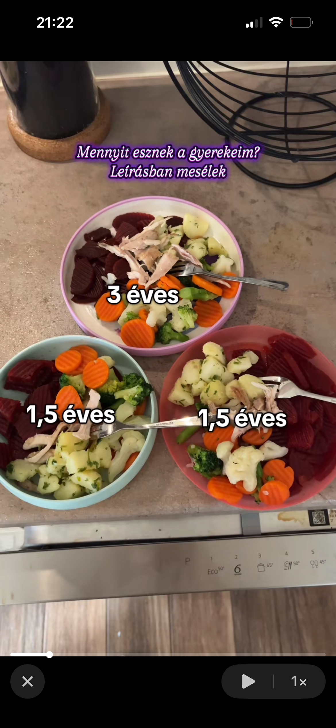 Földi-Pap Martina portfolio