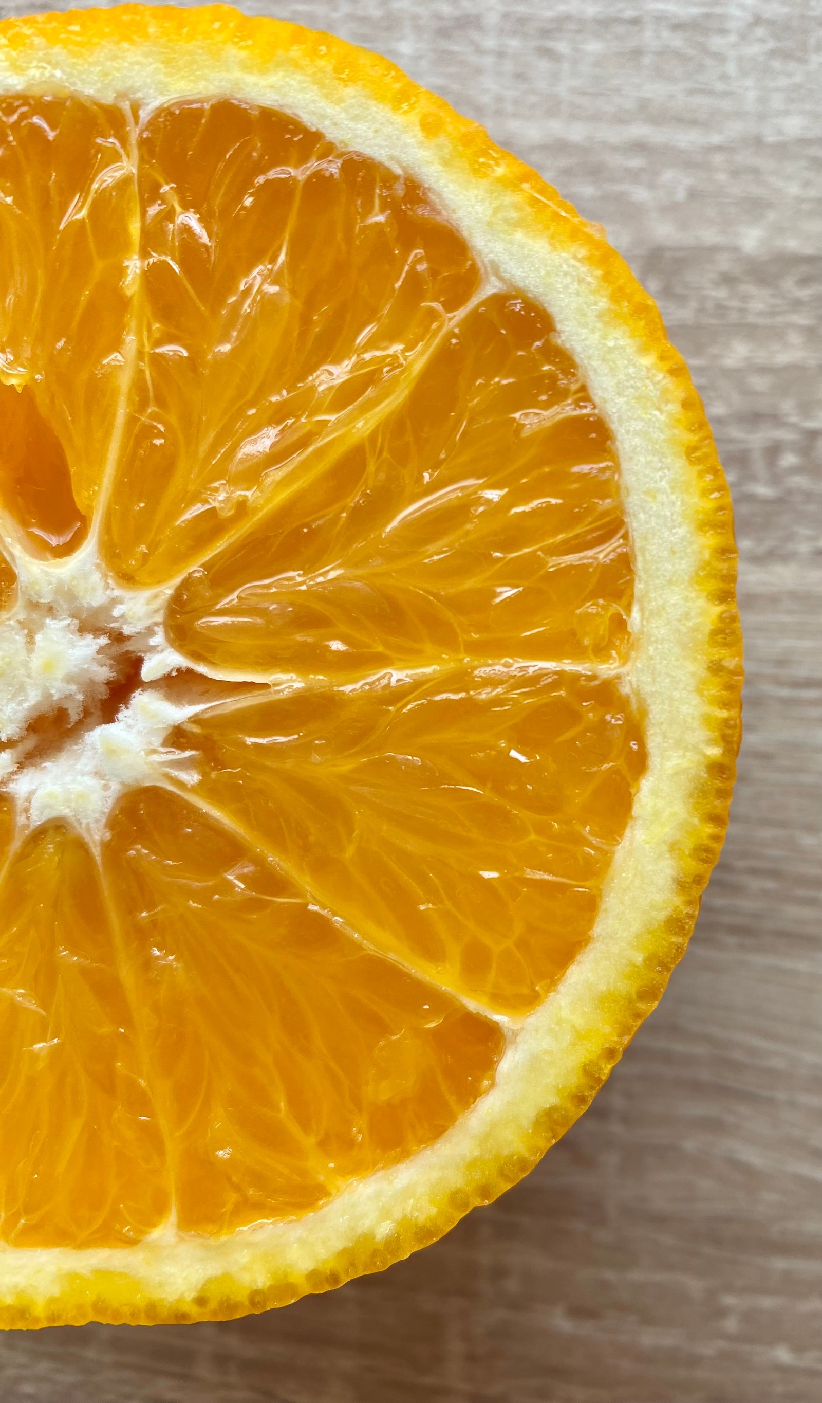 Palotás Bianka Fanni portfolio