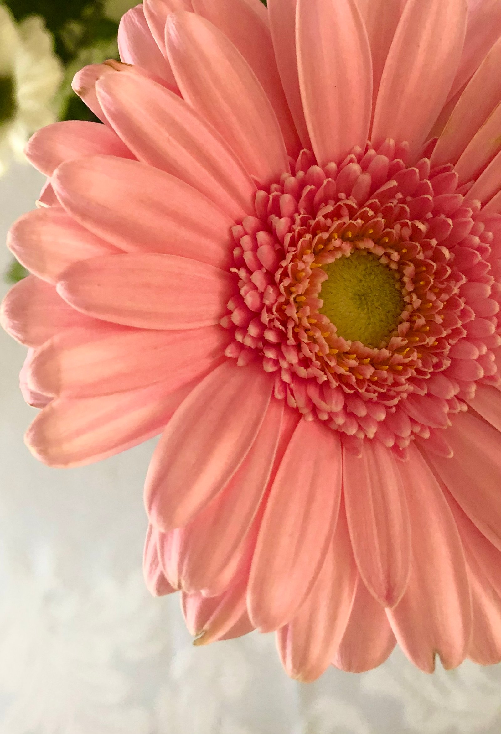 Palotás Bianka Fanni portfolio