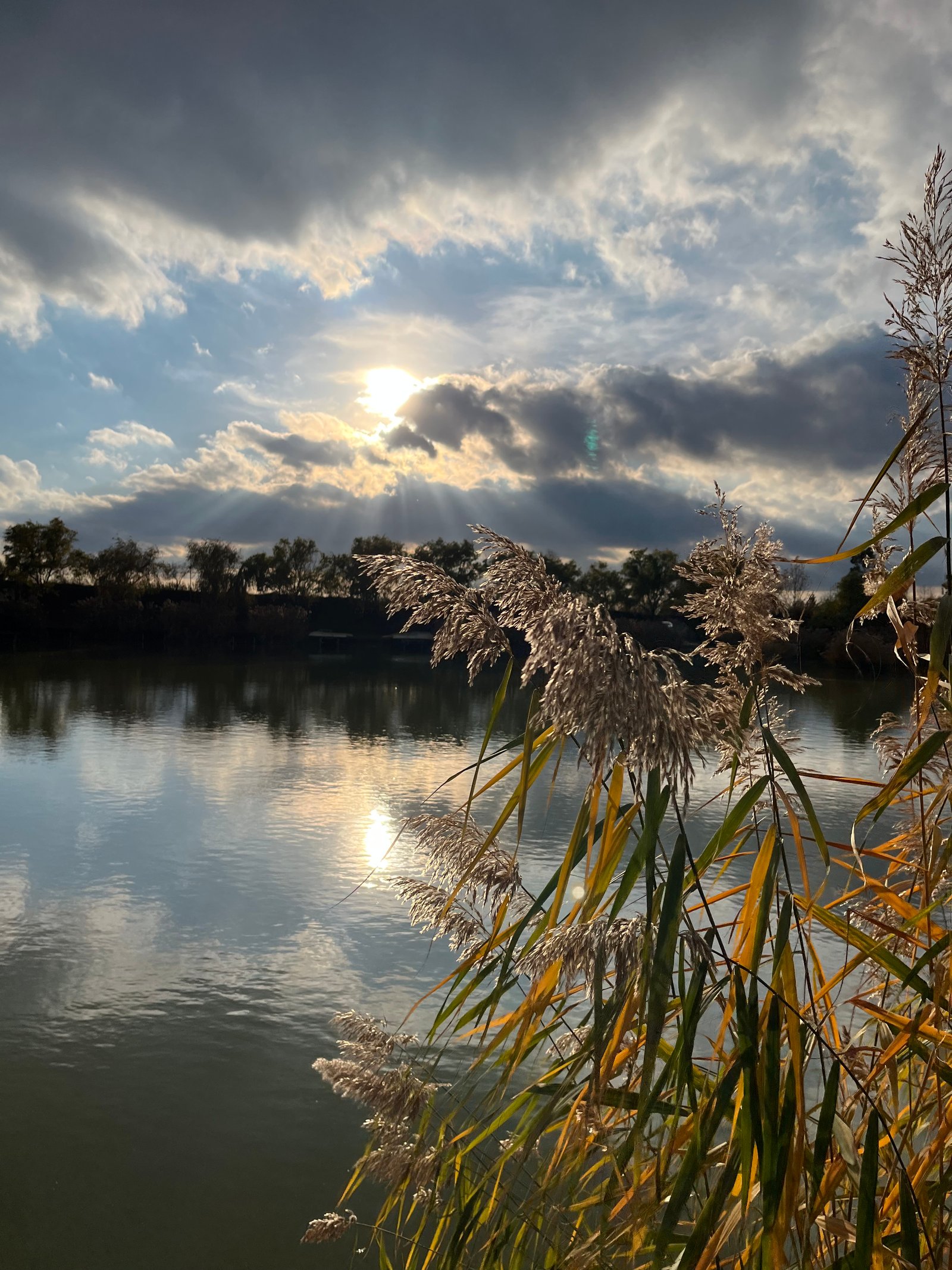 Dombi Mariann portfolio